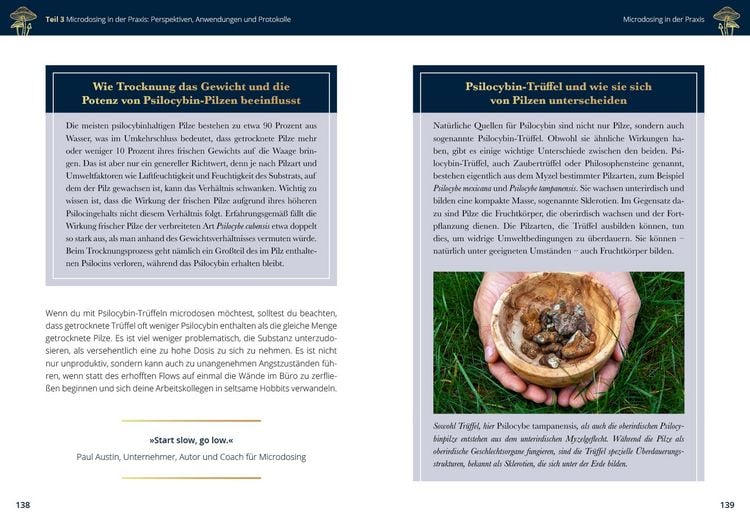 Produktbild: Microdosing mit Psilocybin