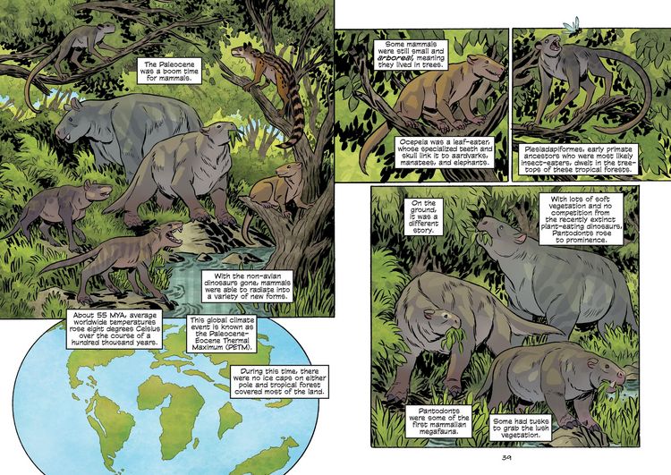 Produktbild: Science Comics: Prehistoric Mammals