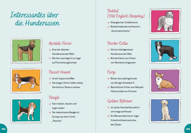 Produktbild: England for kids