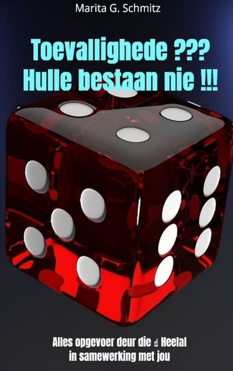 Produktbild: Schmitz, M: Toevallighede Hulle bestaan nie !!!