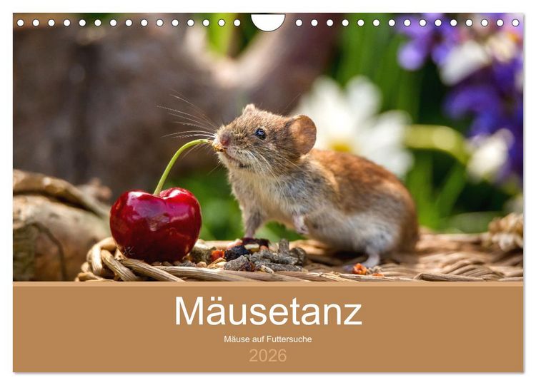 Produktbild: M&auml;usetanz (Wandkalender 2026 DIN A4 quer), CALVENDO Monatskalender