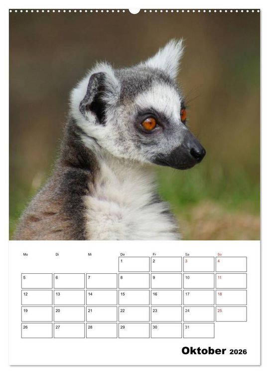 Produktbild: Katta Terminplaner (Wandkalender 2026 DIN A2 hoch), CALVENDO Monatskalender