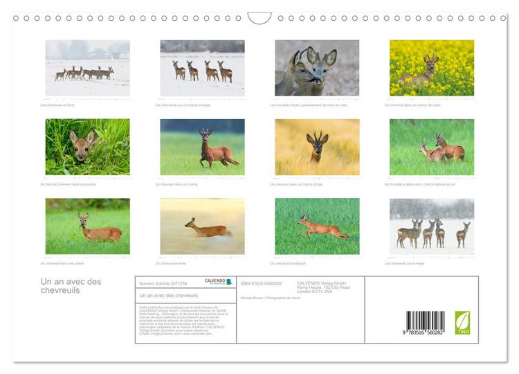Produktbild: Un an avec des chevreuils (Calendrier mural 2026 DIN A3 vertical), CALVENDO calendrier mensuel