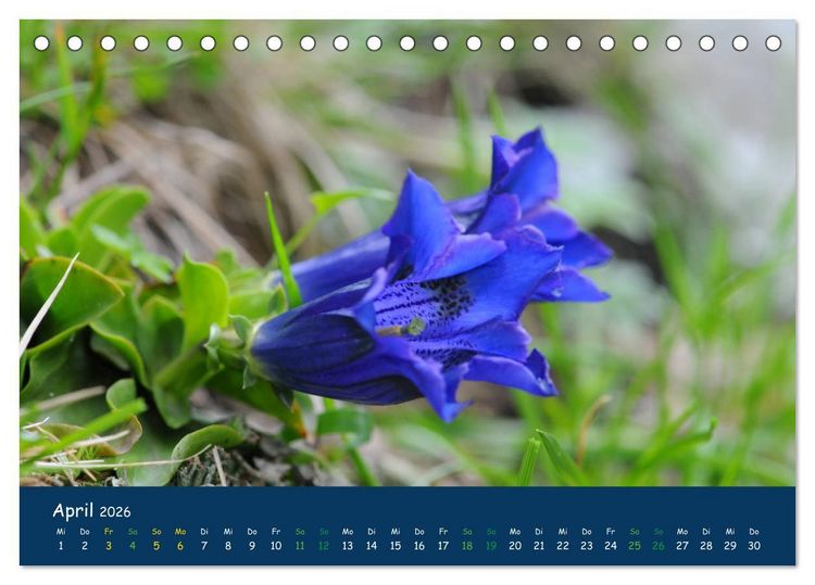 Produktbild: Bergwelt Hohe Tauern - Wandergenuss in alpiner Landschaft (Tischkalender 2026 DIN A5 quer), CALVENDO Monatskalender