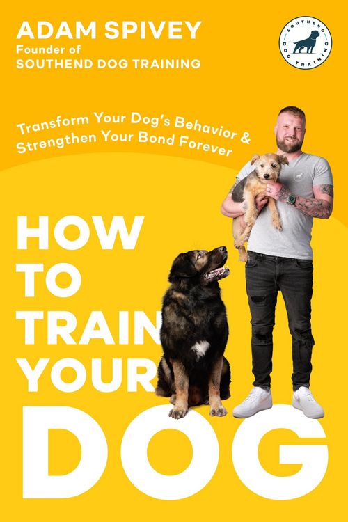 Produktbild: How to Train Your Dog