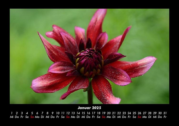 Produktbild: Unser Heimatplanet 2025 Fotokalender DIN A3