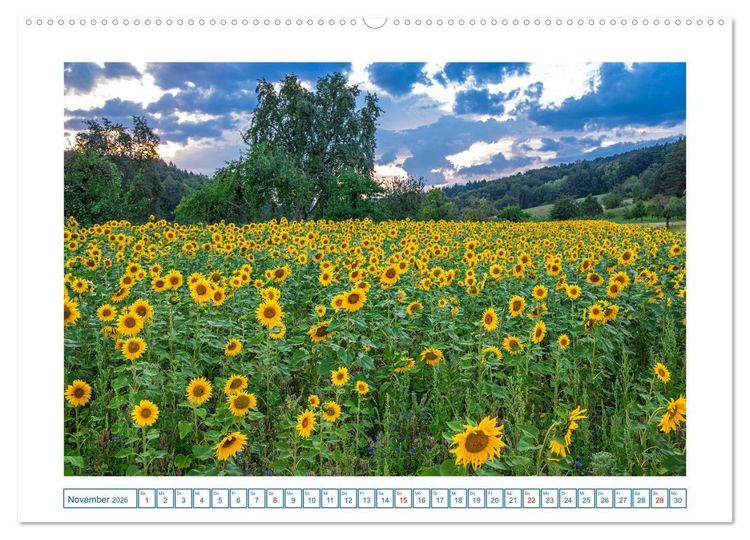 Produktbild: G&uuml;ttingen im Hegau (Wandkalender 2026 DIN A2 quer), CALVENDO Monatskalender