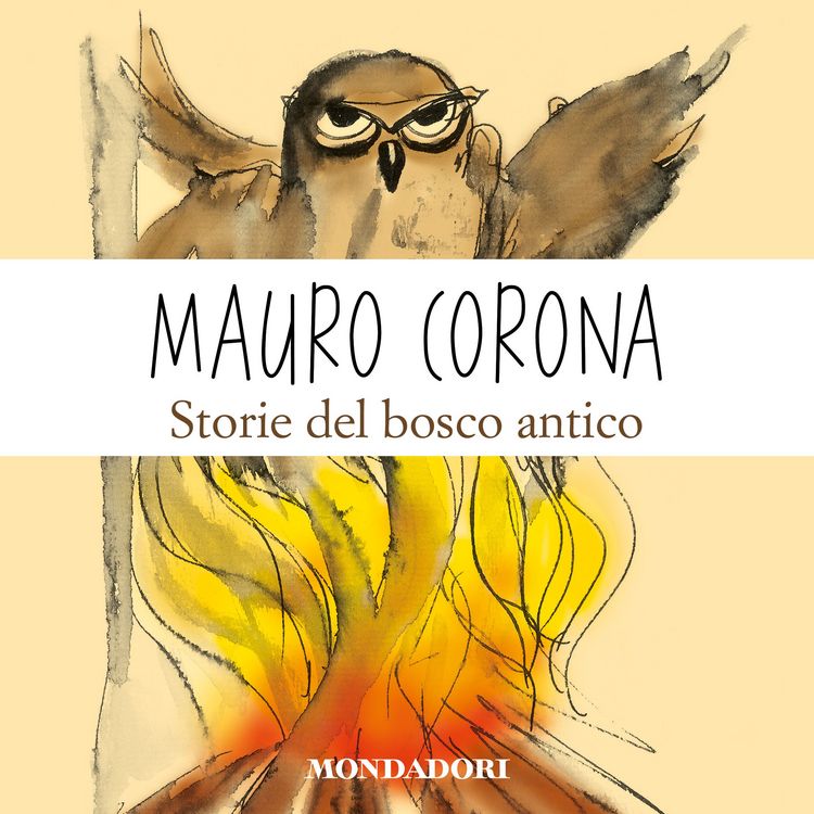 Produktbild: Storie del bosco antico