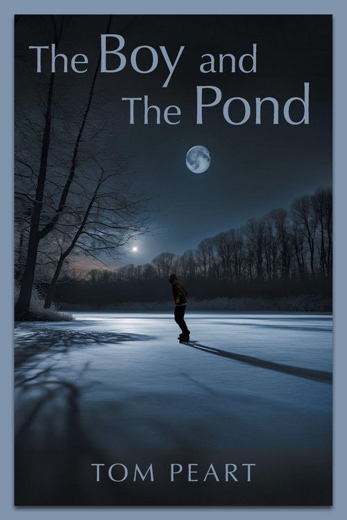 Produktbild: The Boy and The Pond