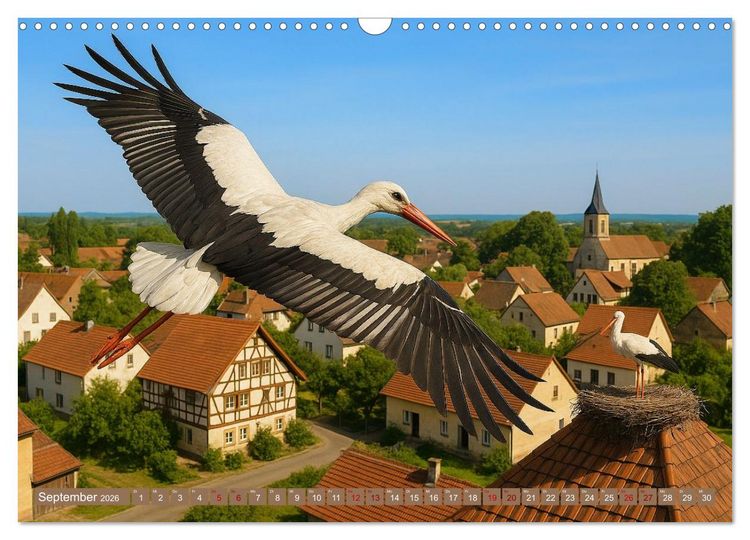 Produktbild: &Uuml;ber dem Vogelflug (Wandkalender 2026 DIN A3 quer), CALVENDO Monatskalender