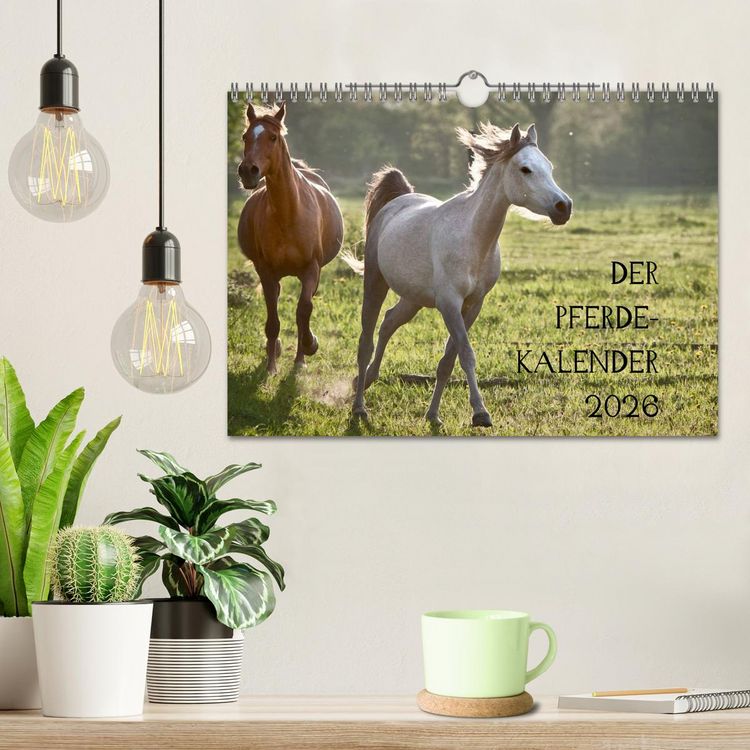 Produktbild: Pferdekalender (Wandkalender 2026 DIN A4 quer), CALVENDO Monatskalender