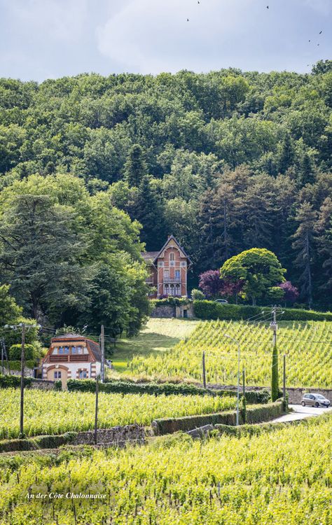 Produktbild: TRESCHER Reisef&uuml;hrer Burgund
