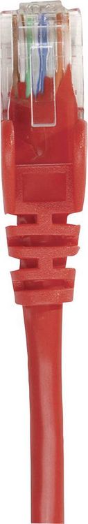 Produktbild: Intellinet 319034 RJ45 Patchkabel CAT 6a S/FTP 0.50 m Rot Einzelschirm, Gesamtschirm, Halogenfrei 1 St.