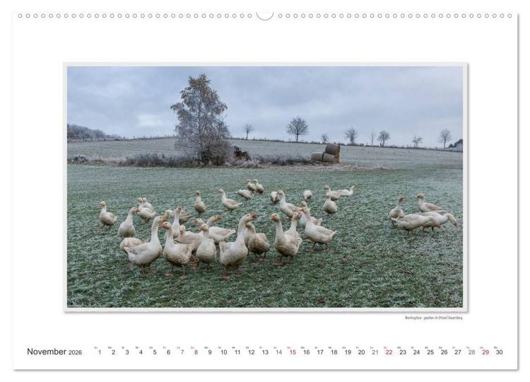 Produktbild: Emotionale Momente: Betzdorf - liebens- und lebenswerte Stadt an der Sieg. (hochwertiger Premium Wandkalender 2026 DIN A2 quer), Kunstdruck in Hochglanz