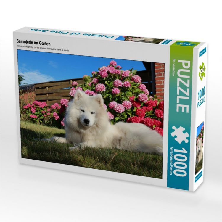 Produktbild: CALVENDO Puzzle Samojede im Garten | 1000 Teile Lege-Gr&ouml;&szlig;e 64 &times; 48 cm Foto-Puzzle f&uuml;r gl&uuml;ckliche Stunden