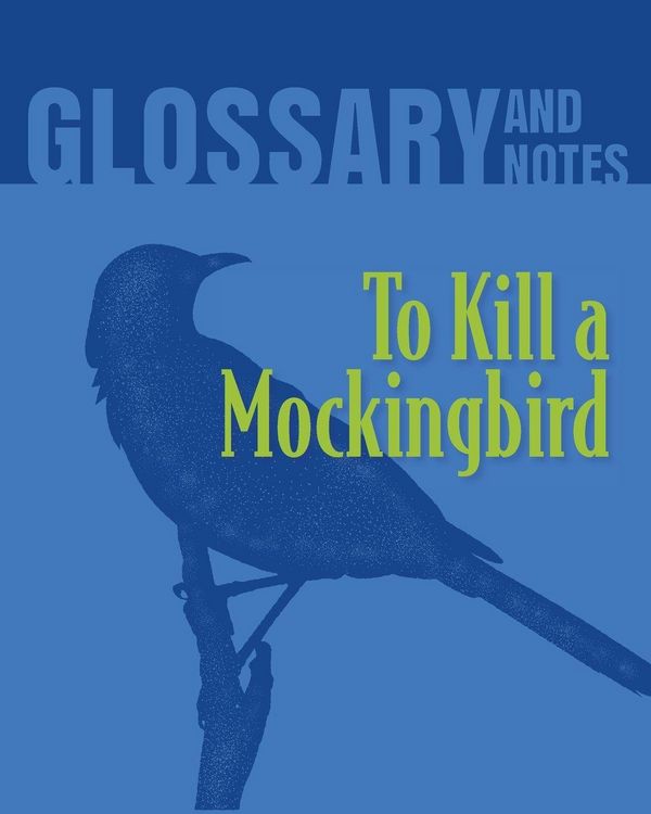 Produktbild: To Kill a Mockingbird Glossary and Notes