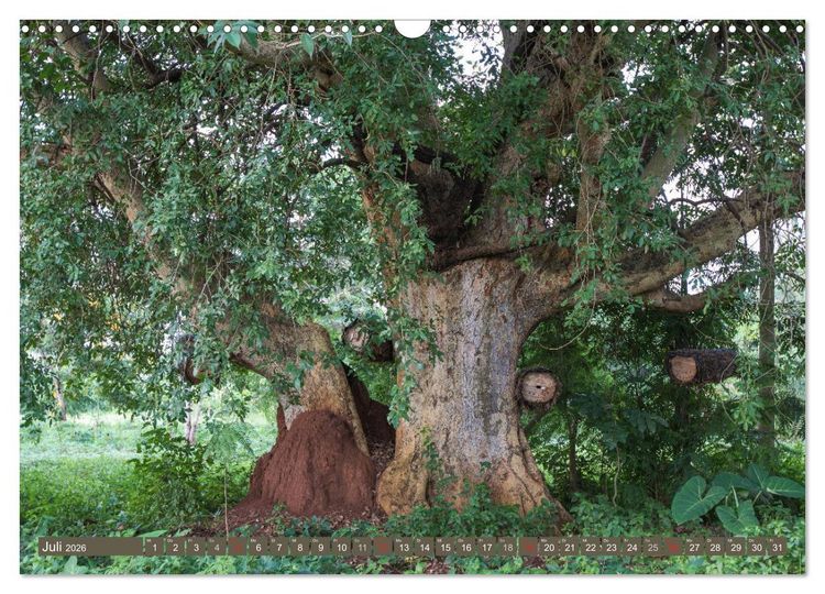Produktbild: Geheimtipp Uganda (Wandkalender 2026 DIN A3 quer), CALVENDO Monatskalender