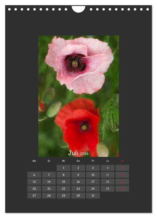 Produktbild: Mohn (Wandkalender 2026 DIN A4 hoch), CALVENDO Monatskalender