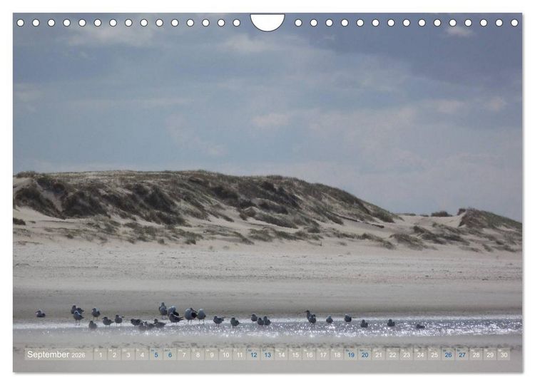 Produktbild: Texel. Neue D&uuml;nen (Wandkalender 2026 DIN A4 quer), CALVENDO Monatskalender