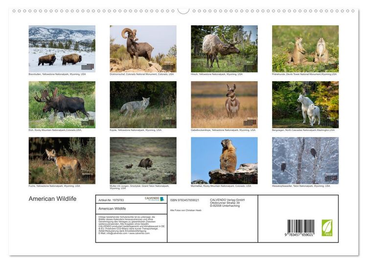 Produktbild: American Wildlife (hochwertiger Premium Wandkalender 2026 DIN A2 quer), Kunstdruck in Hochglanz