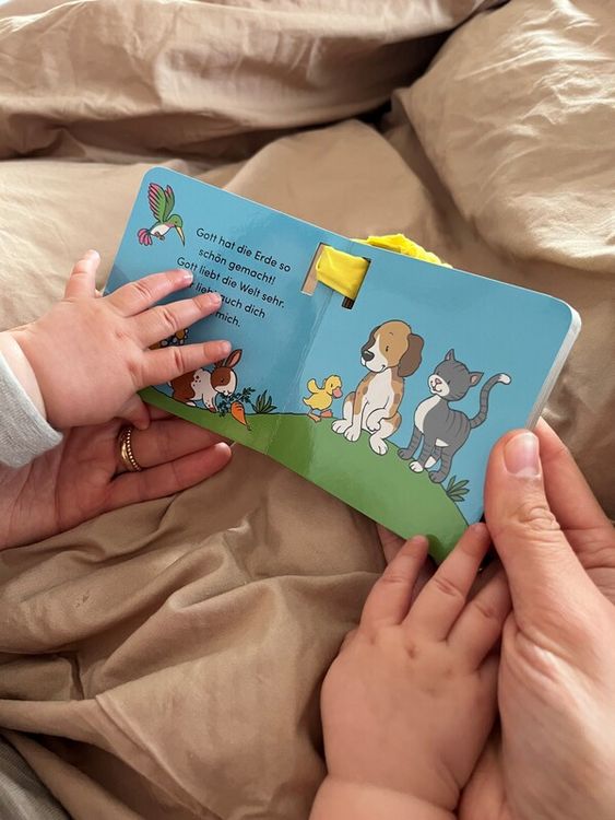 Produktbild: Die Buggy-Bibel