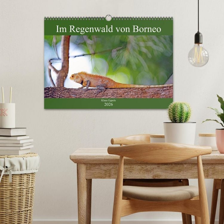 Produktbild: Im Regenwald von Borneo (Wandkalender 2026 DIN A3 quer), CALVENDO Monatskalender