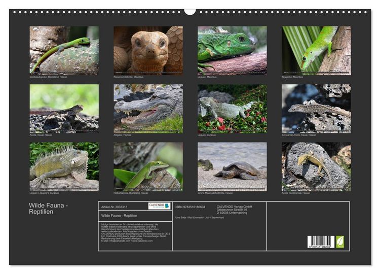 Produktbild: Wilde Fauna - Reptilien (Wandkalender 2026 DIN A2 quer), CALVENDO Monatskalender