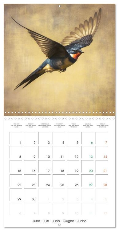 Produktbild: Ailes en sc&egrave;ne (Calendrier mural carr&eacute; 2026 30x30 cm) Calendrier double avec une page pour vos prises de notes