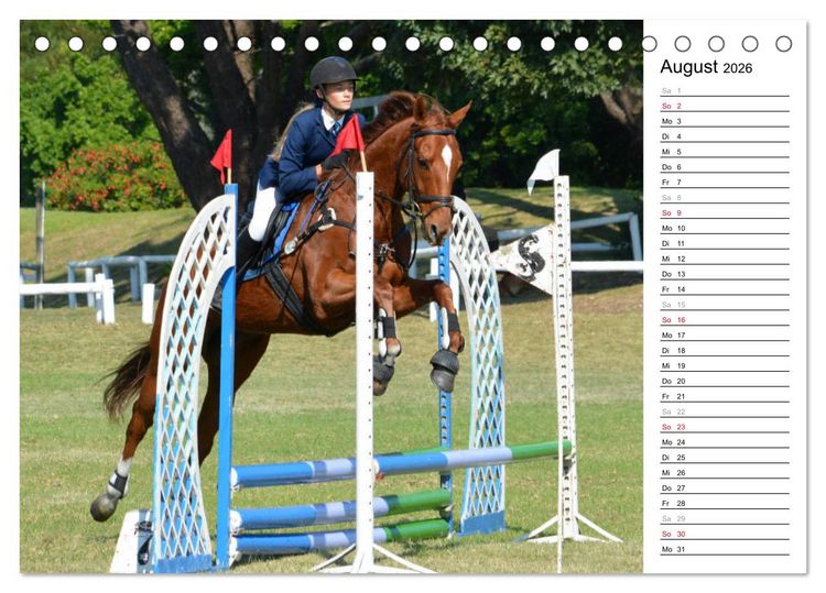 Produktbild: Mein Reitsport Kalender (Tischkalender 2026 DIN A5 quer), CALVENDO Monatskalender