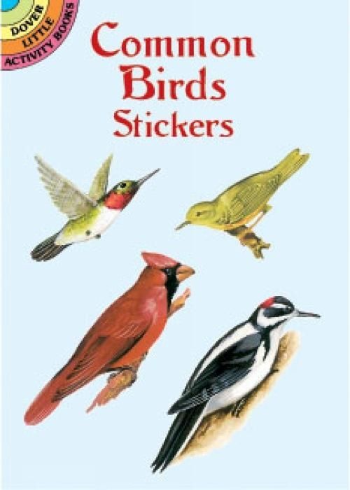 Produktbild: COMMON BIRDS STICKERS