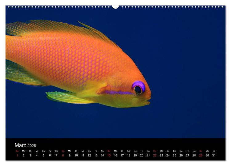 Produktbild: Bilder der Tiefe 2026 (hochwertiger Premium Wandkalender 2026 DIN A2 quer), Kunstdruck in Hochglanz