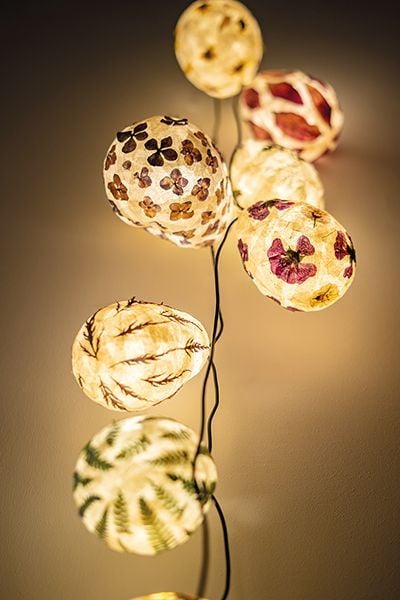 Produktbild: Veilchen, Farn & Ringelblumen