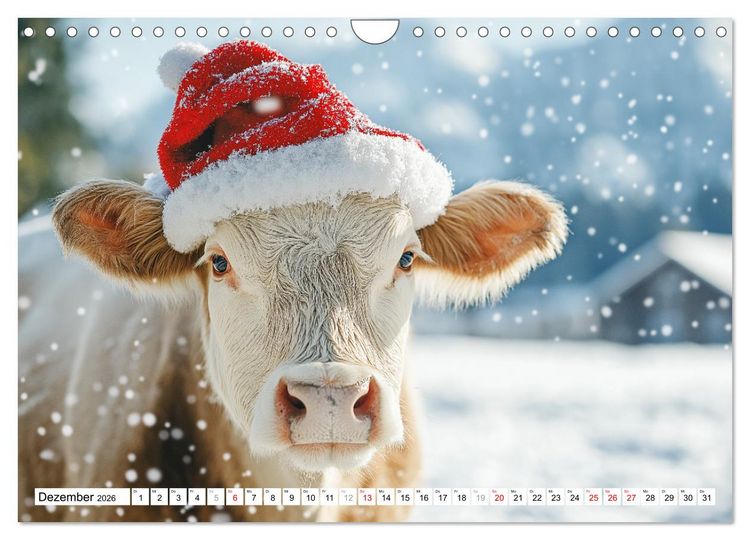 Produktbild: K&Uuml;HE AUF DER ALM &ndash; Der Kalender aus Bayern (Wandkalender 2026 DIN A4 quer), CALVENDO Monatskalender