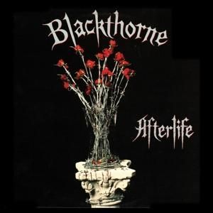 Produktbild: Afterlife