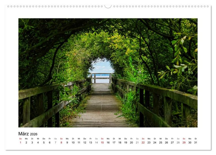 Produktbild: Steinhuder Meer Impressionen (Wandkalender 2026 DIN A2 quer), CALVENDO Monatskalender