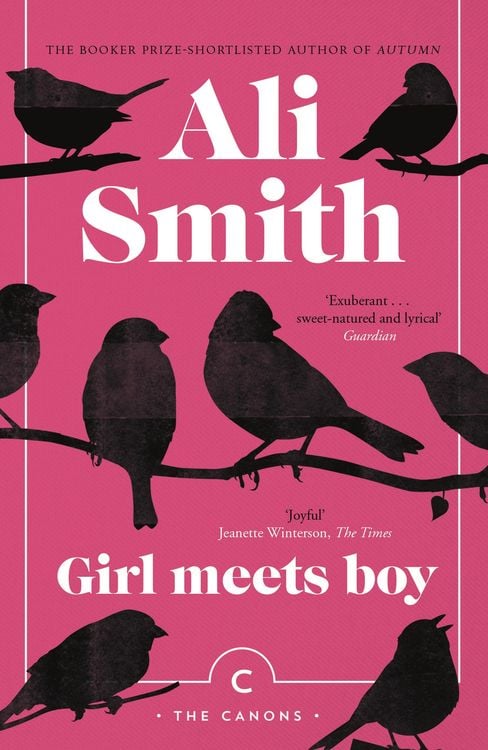 Bild vom Artikel Girl Meets Boy vom Autor Ali Smith