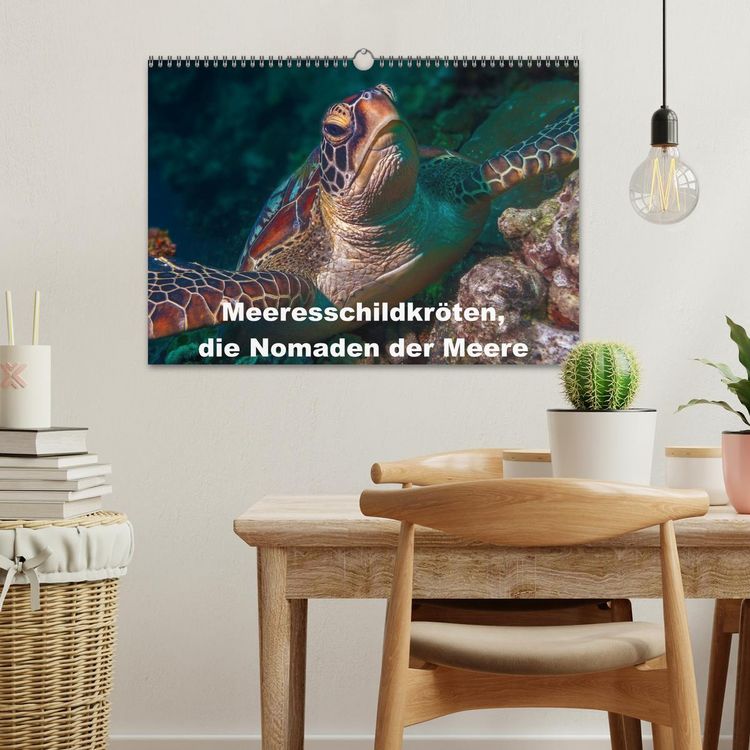 Produktbild: Meeresschildkr&ouml;ten, die Nomaden der Meere (Wandkalender 2026 DIN A3 quer), CALVENDO Monatskalender