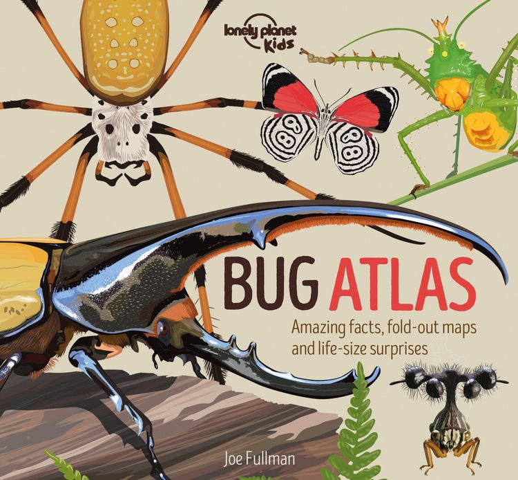 Produktbild: Lonely Planet Kids Bug Atlas