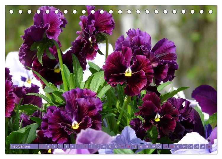 Produktbild: Liebenswerte Bl&uuml;ten (Tischkalender 2026 DIN A5 quer), CALVENDO Monatskalender