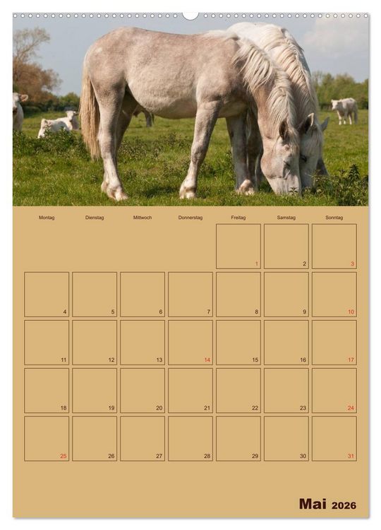 Produktbild: Pferde Gute Freunde (hochwertiger Premium Wandkalender 2026 DIN A2 hoch), Kunstdruck in Hochglanz