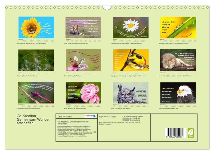 Produktbild: Co-Kreation, Gemeinsam Wunder erschaffen (Wandkalender 2026 DIN A3 quer), CALVENDO Monatskalender