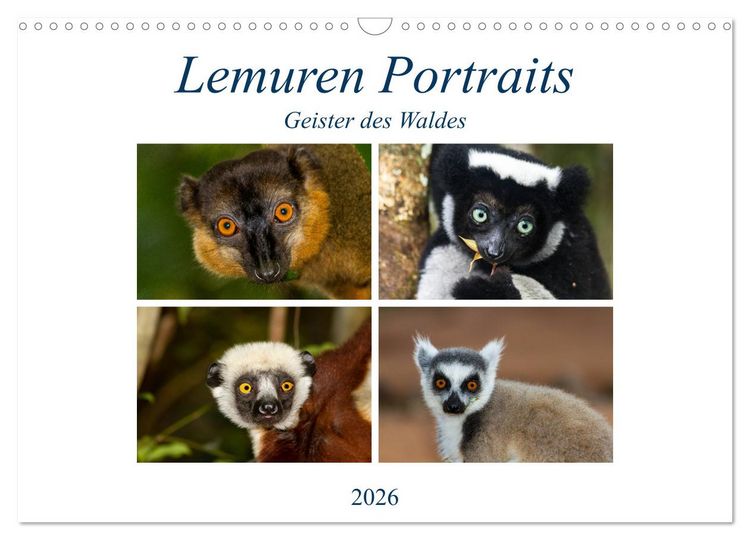Produktbild: Lemuren Portraits (Wandkalender 2026 DIN A3 quer), CALVENDO Monatskalender