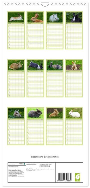 Produktbild: Familienplaner 2027 - Liebenswerte Zwergkaninchen mit 5 Spalten (Wandkalender, 21 x 45 cm) CALVENDO