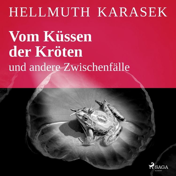 Produktbild: Vom K&uuml;ssen der Kr&ouml;ten und andere Zwischenf&auml;lle
