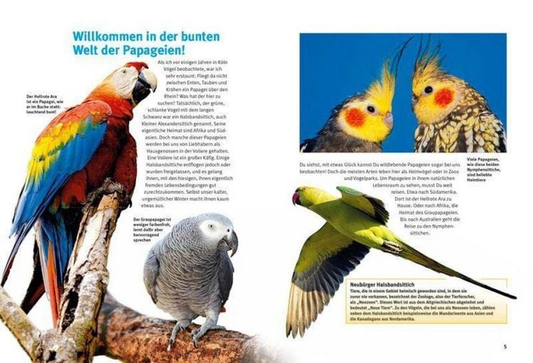 Produktbild: Entdecke die Papageien