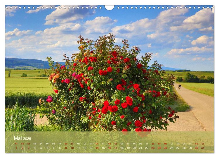 Produktbild: Wanderparadies S&uuml;dpfalz (Wandkalender 2026 DIN A3 quer), CALVENDO Monatskalender