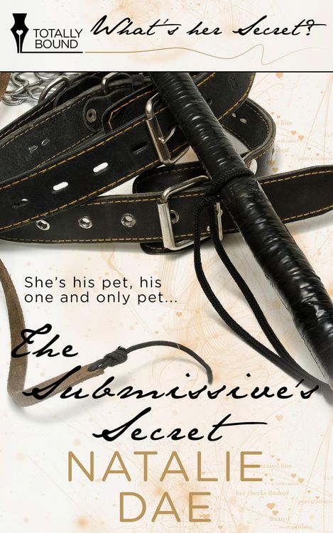 Produktbild: The Submissive's Secret