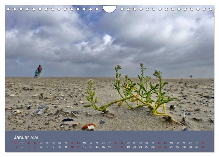 Produktbild: Norderney - Meine Trauminsel (Wandkalender 2026 DIN A4 quer), CALVENDO Monatskalender