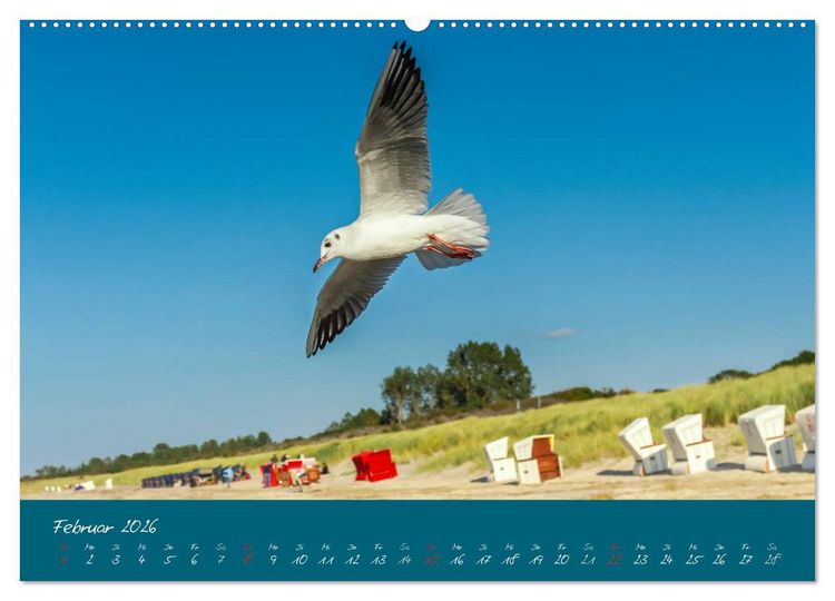 Produktbild: Blick auf die Halbinsel Fischland, Dar&szlig; und Zingst (hochwertiger Premium Wandkalender 2026 DIN A2 quer), Kunstdruck in Hochglanz
