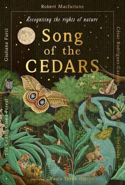 Produktbild: Song of the Cedars